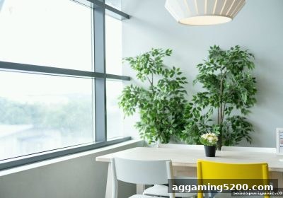沙巴体育官网专属策略：如何打造个人化的真人游戏打法