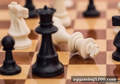 沙巴体育官网国际象棋实战指南：开局中局残局全攻略