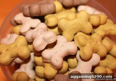 沙巴体育官网 | AG真人新用户优惠全解读：开户礼包、首存奖励与高效玩法