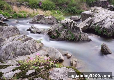 沙巴体育官网深度测评：炸金花电竞直播PC客户端用户体验与反馈全解析
